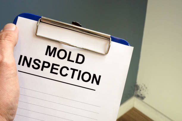 Best Water Damage & Mold Remediation  in Clanton, AL